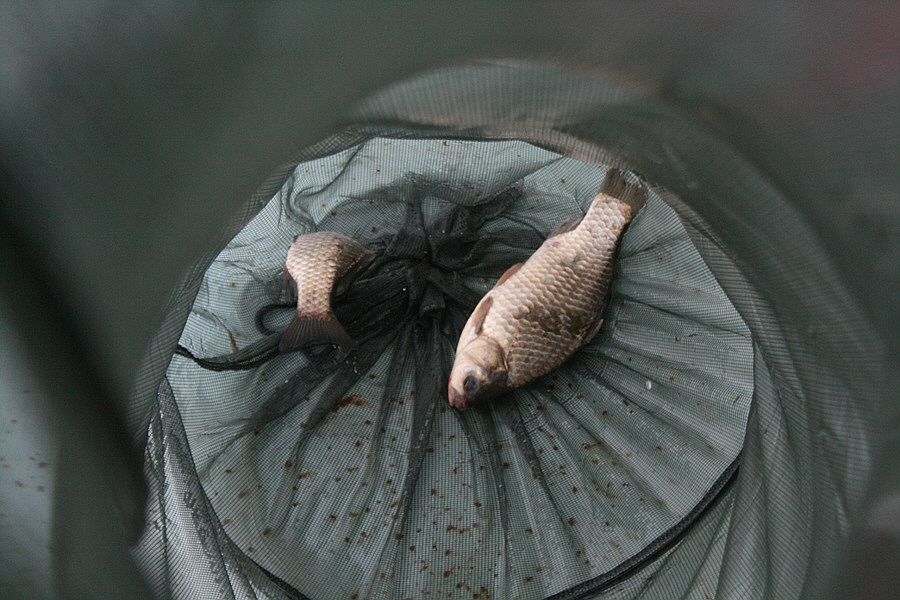 �ٹ̱�_�ݵ������� 1593.jpg