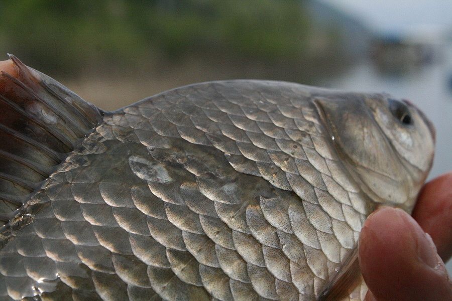 �ٹ̱�_�ݵ������� 1598.jpg