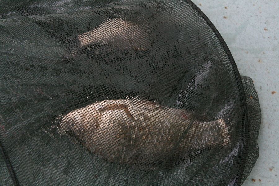 �ٹ̱�_�ݵ������� 1597.jpg