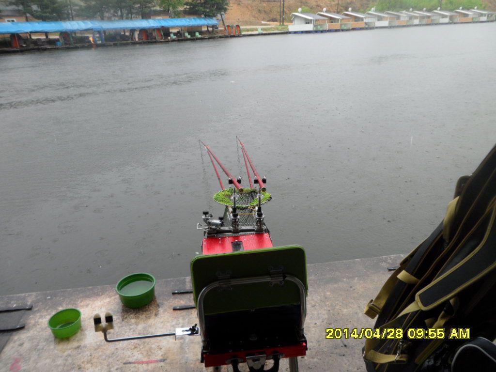 SAM_4885.JPG