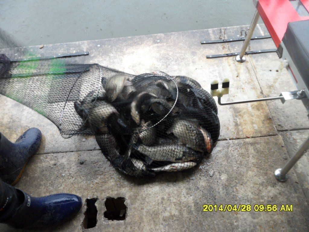 SAM_4886.JPG