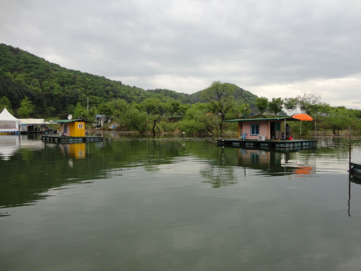 DSC08076.JPG
