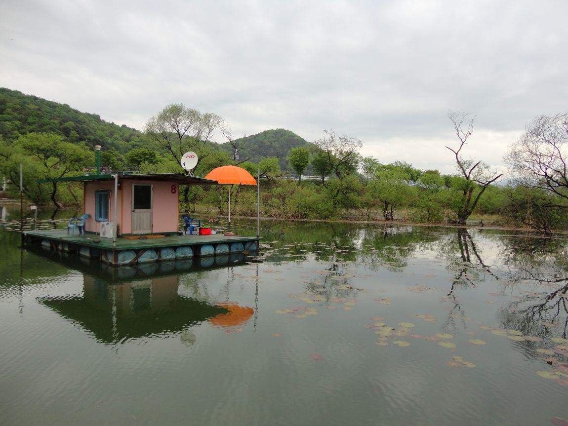 DSC08062.JPG