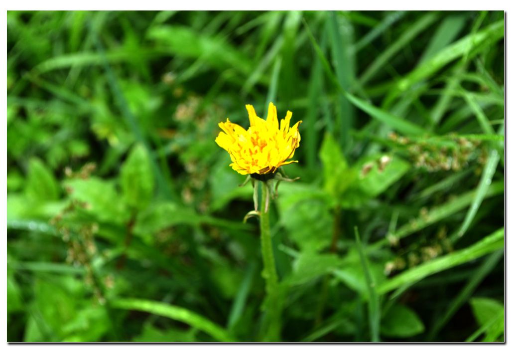 Untitled-1 copy 10.jpg