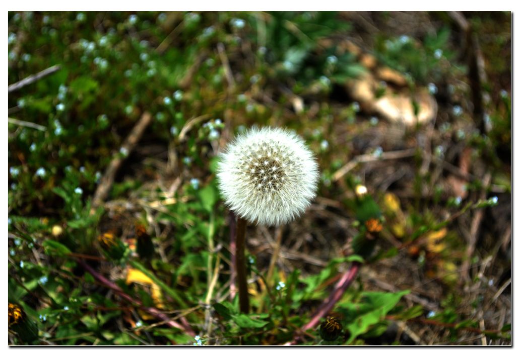 Untitled-1 copy 12.jpg