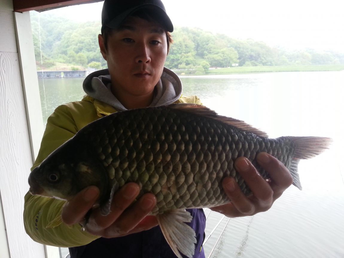 20140427_084700.jpg