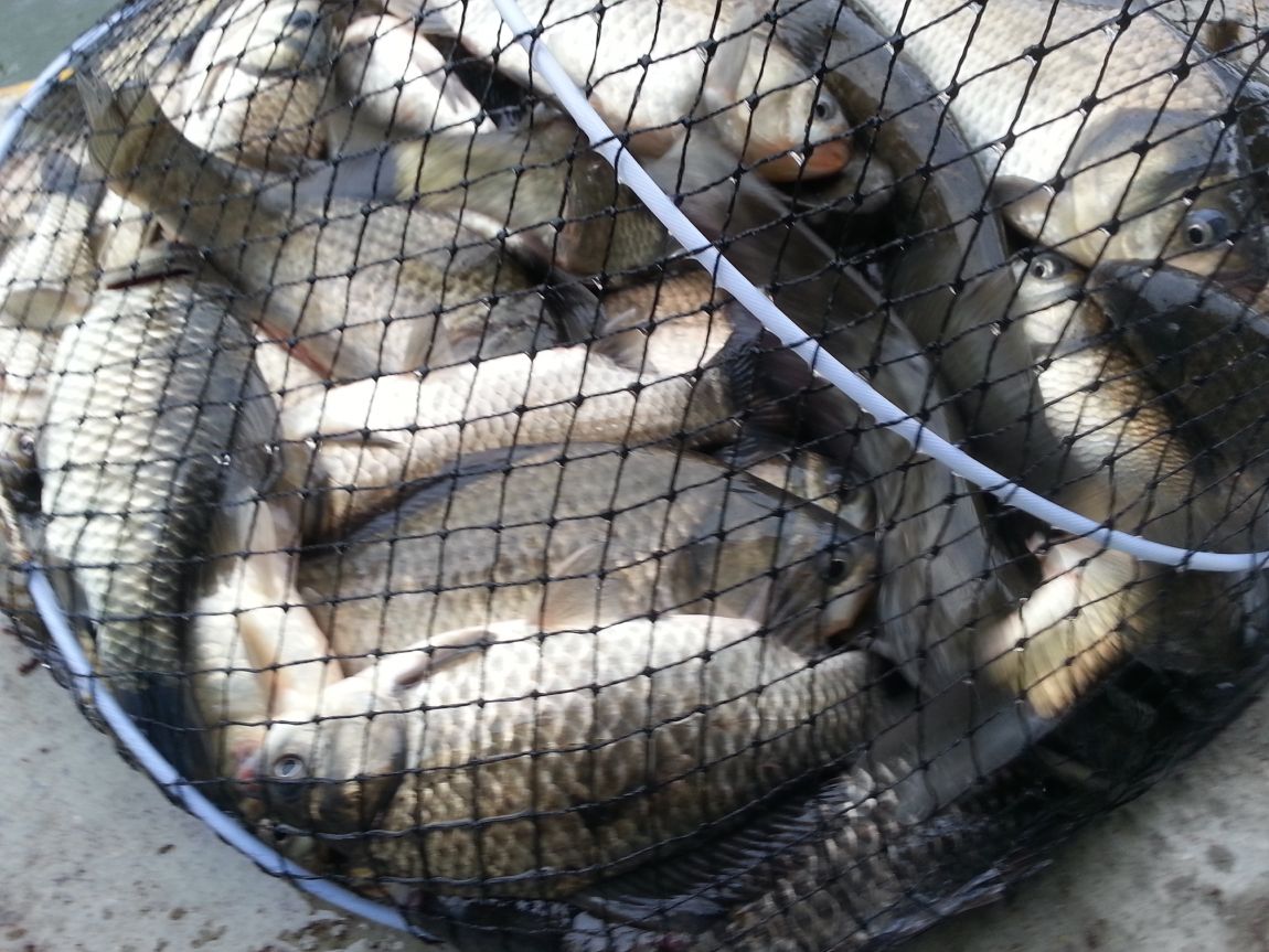20140427_082214.jpg