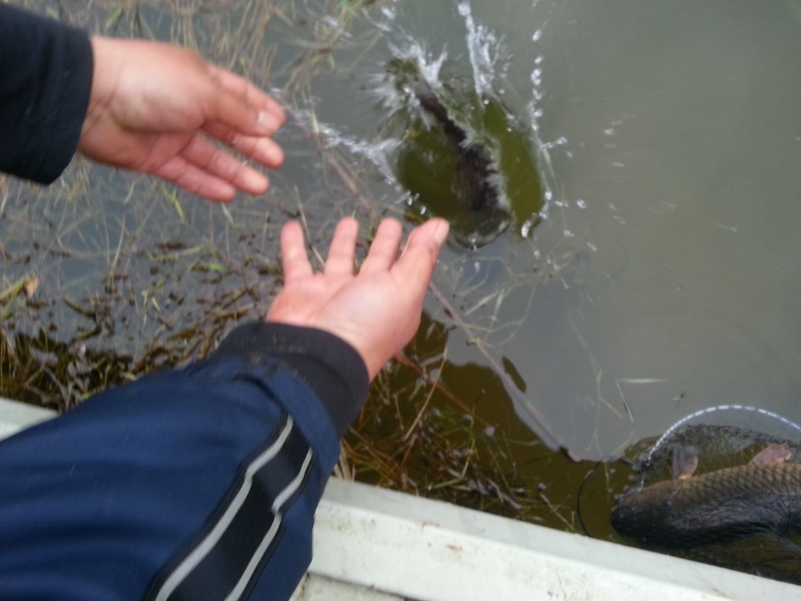 20140426_070948.jpg