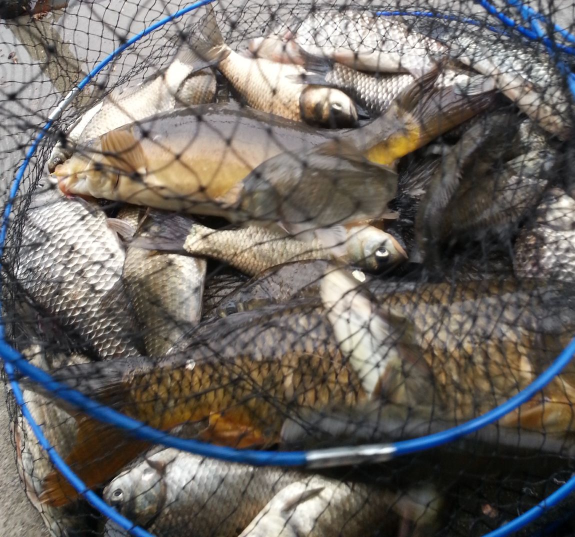 20140427_082800.jpg