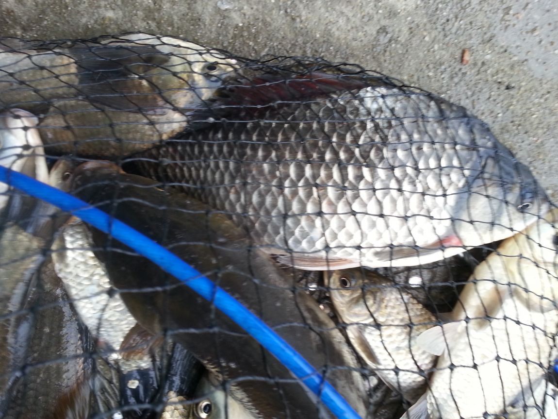 20140427_082806.jpg