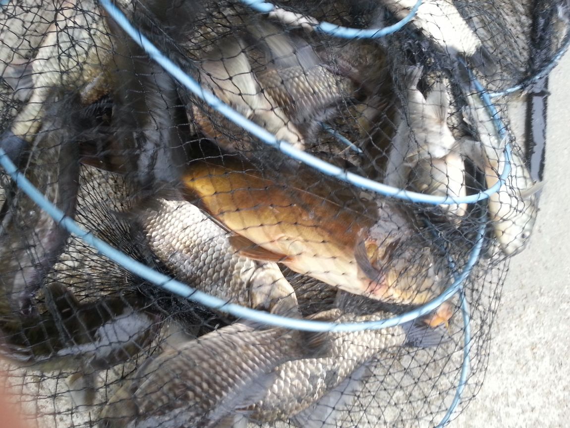 20140427_083547.jpg
