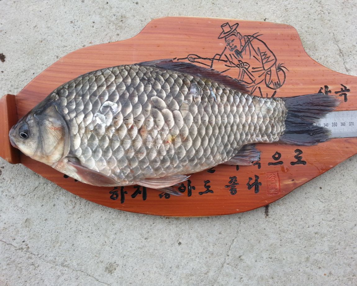 20140427_084156.jpg