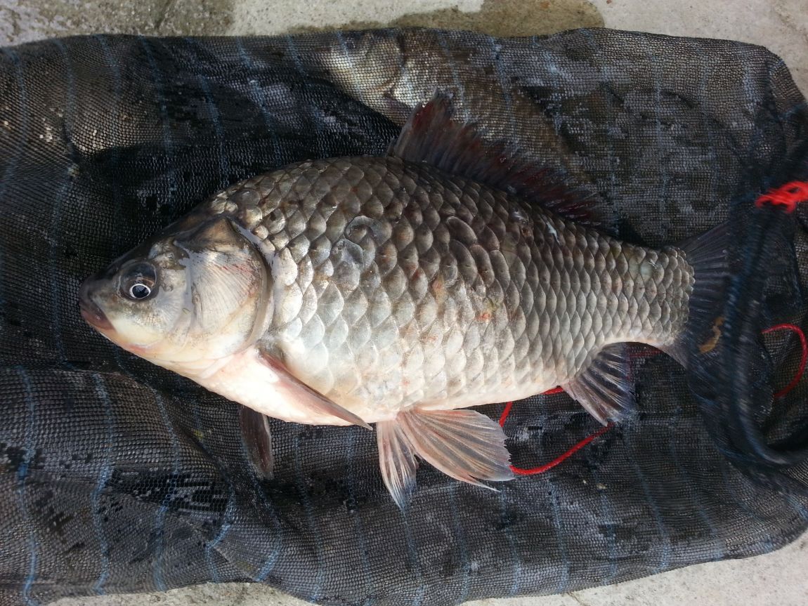 20140427_084233.jpg