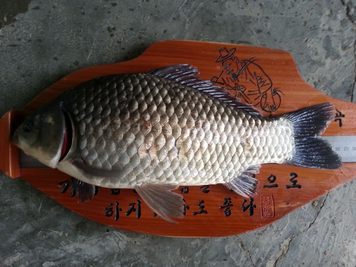 20140427_084627.jpg