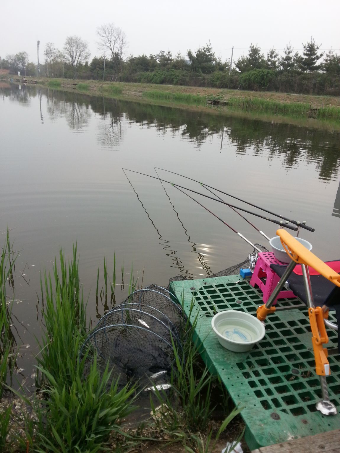 20140426_075131.jpg