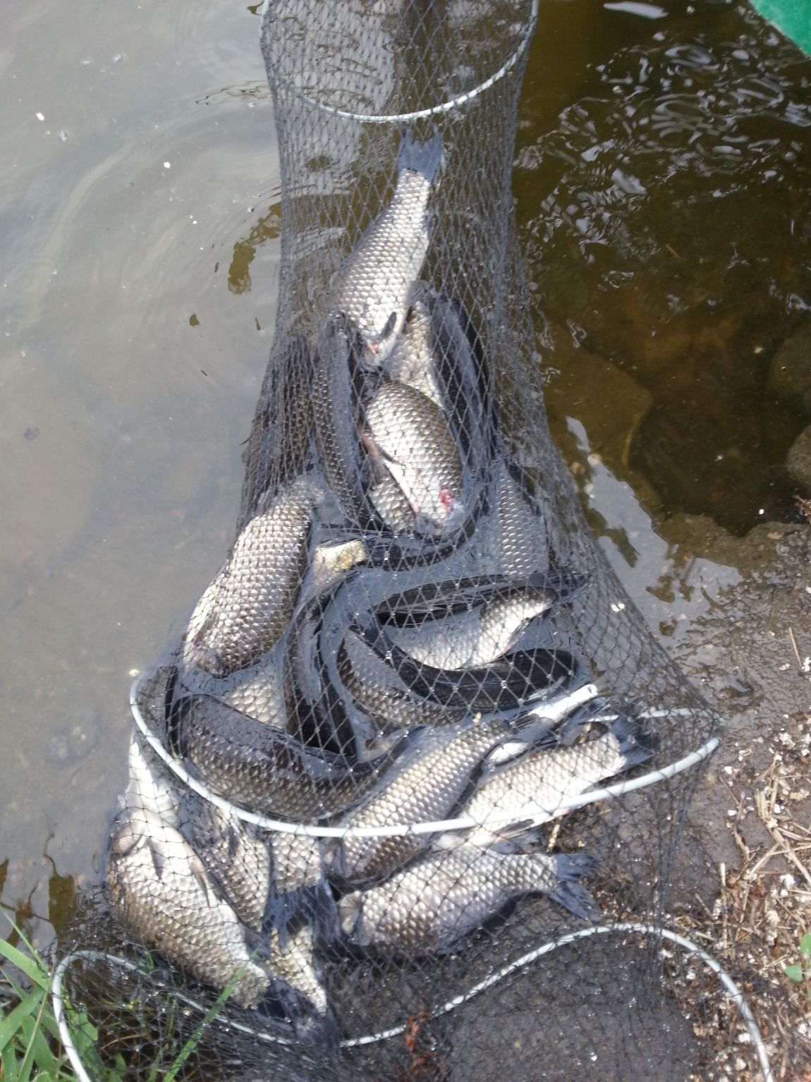 20140426_075239.jpg