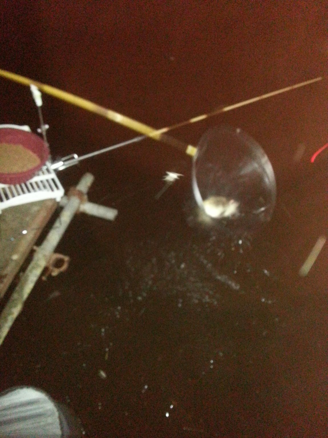 20140426_200626.jpg