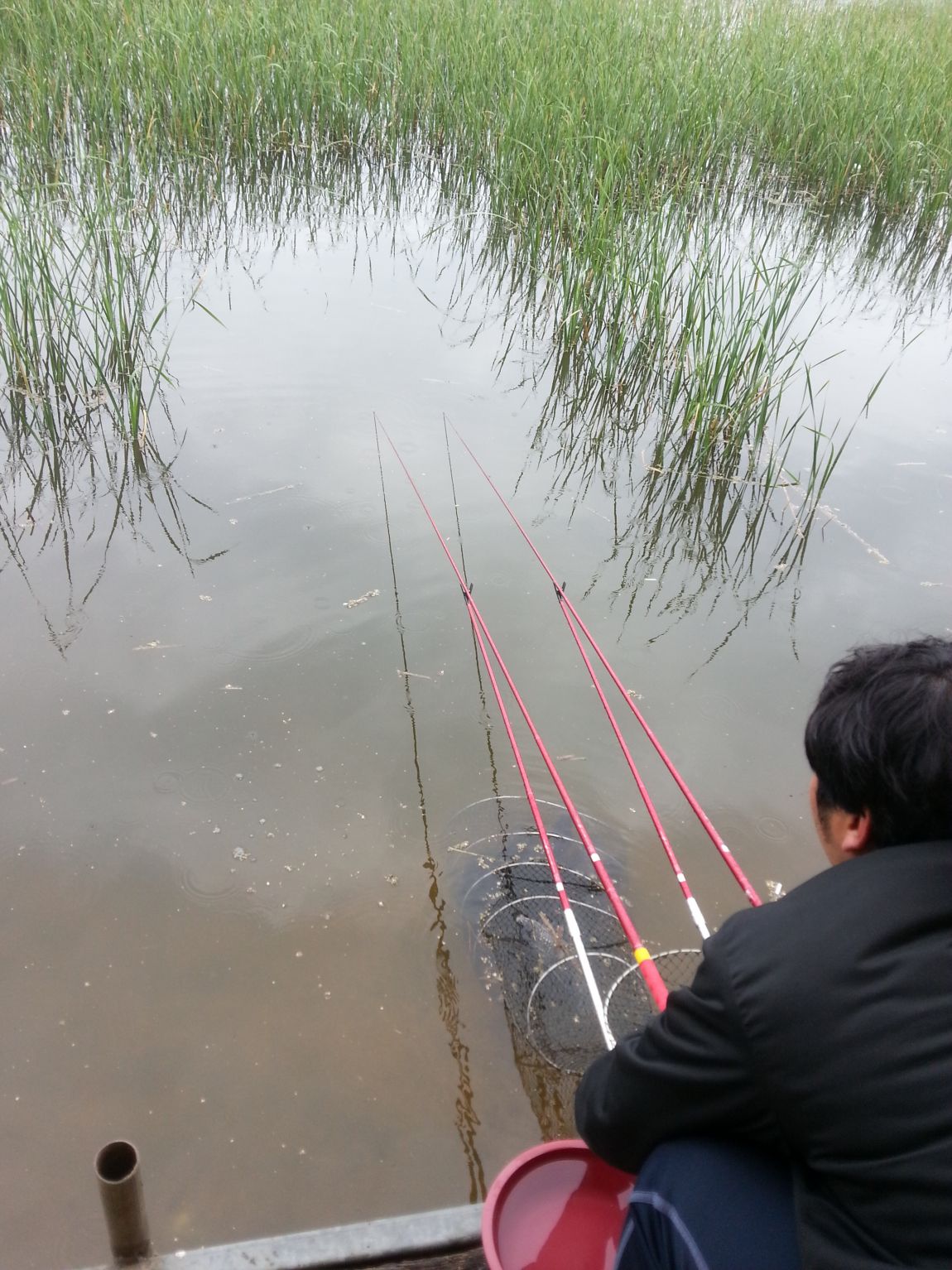 20140427_133023.jpg