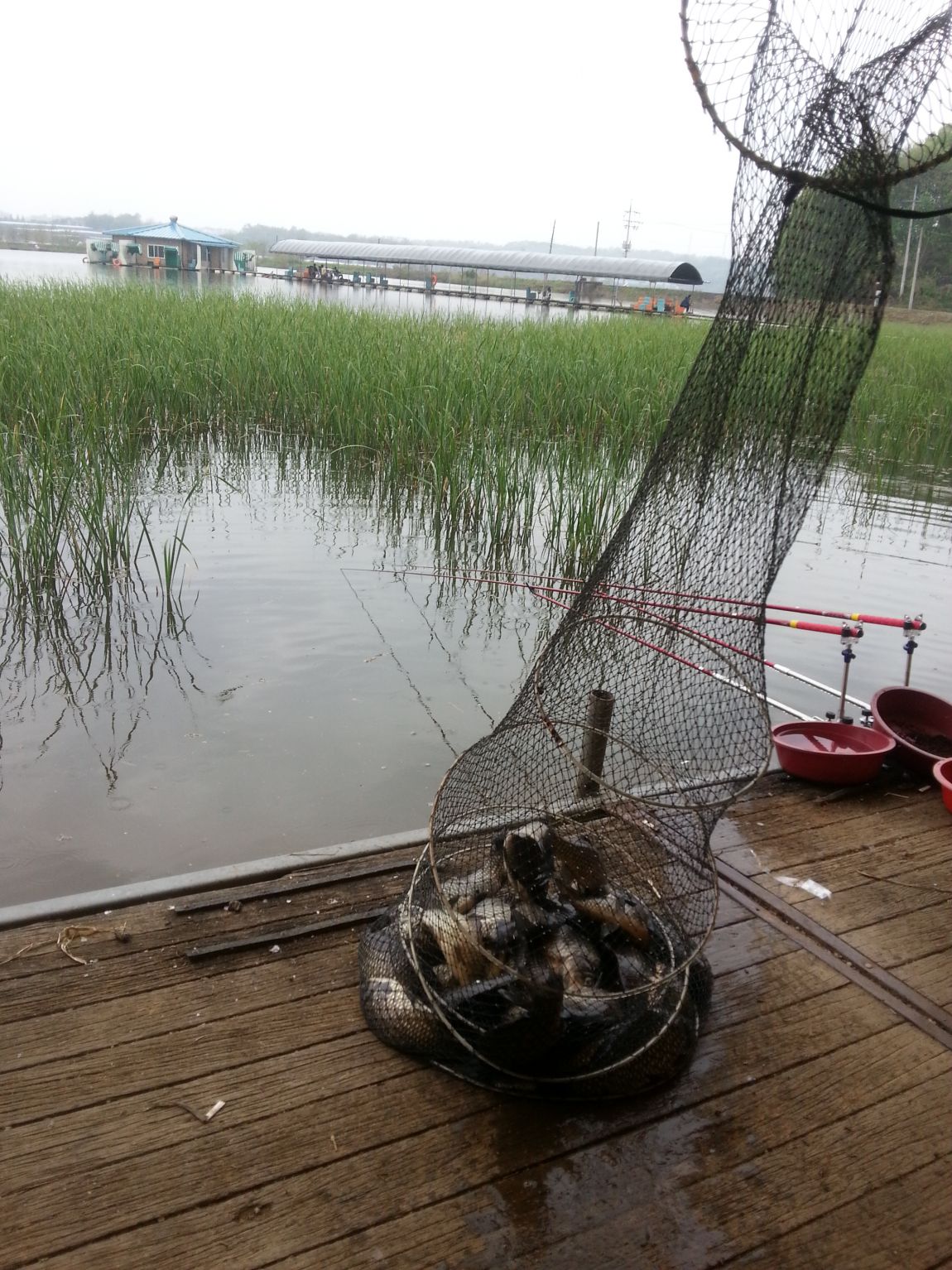 20140427_133048.jpg