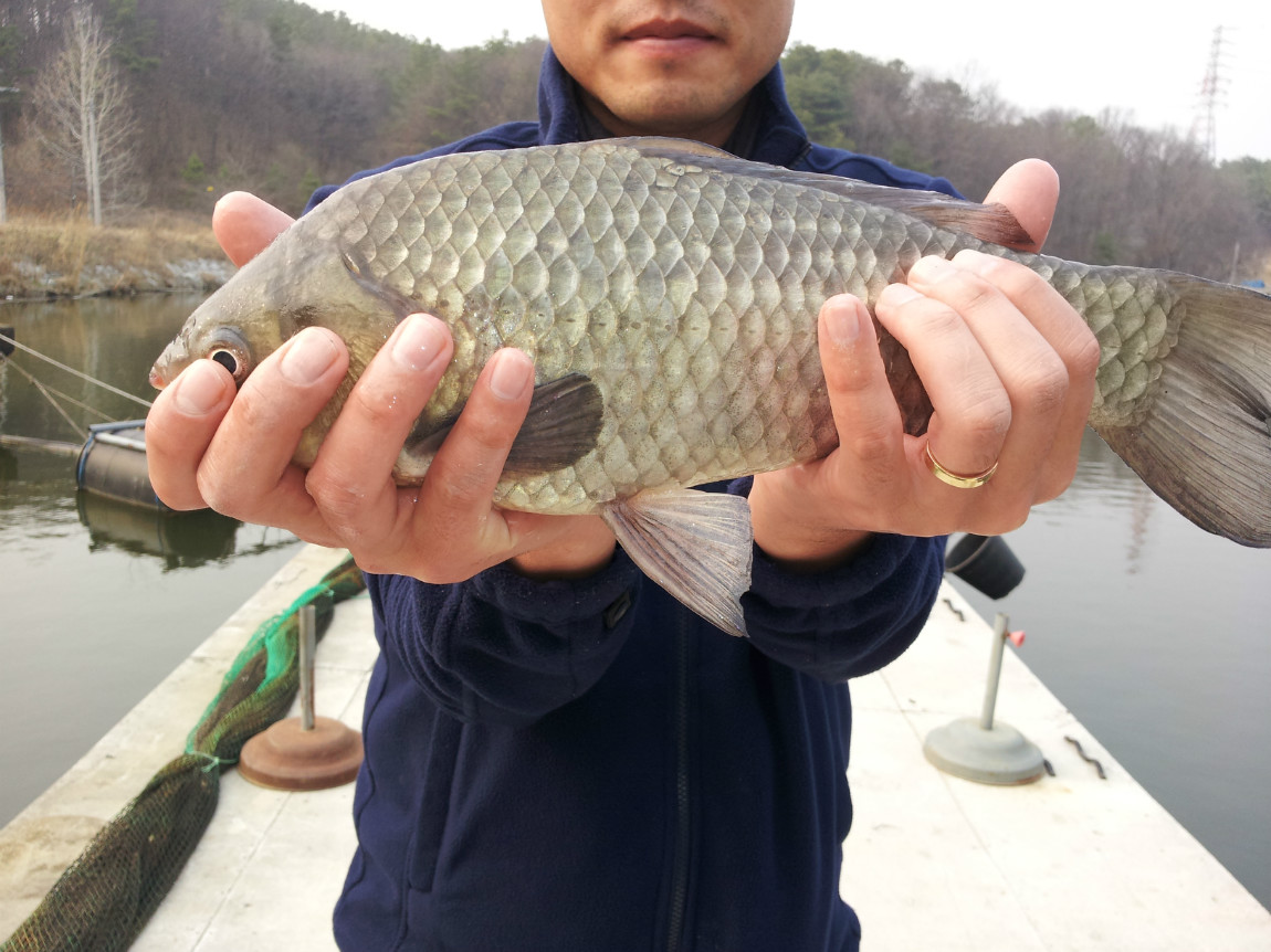 20140327_162346.jpg