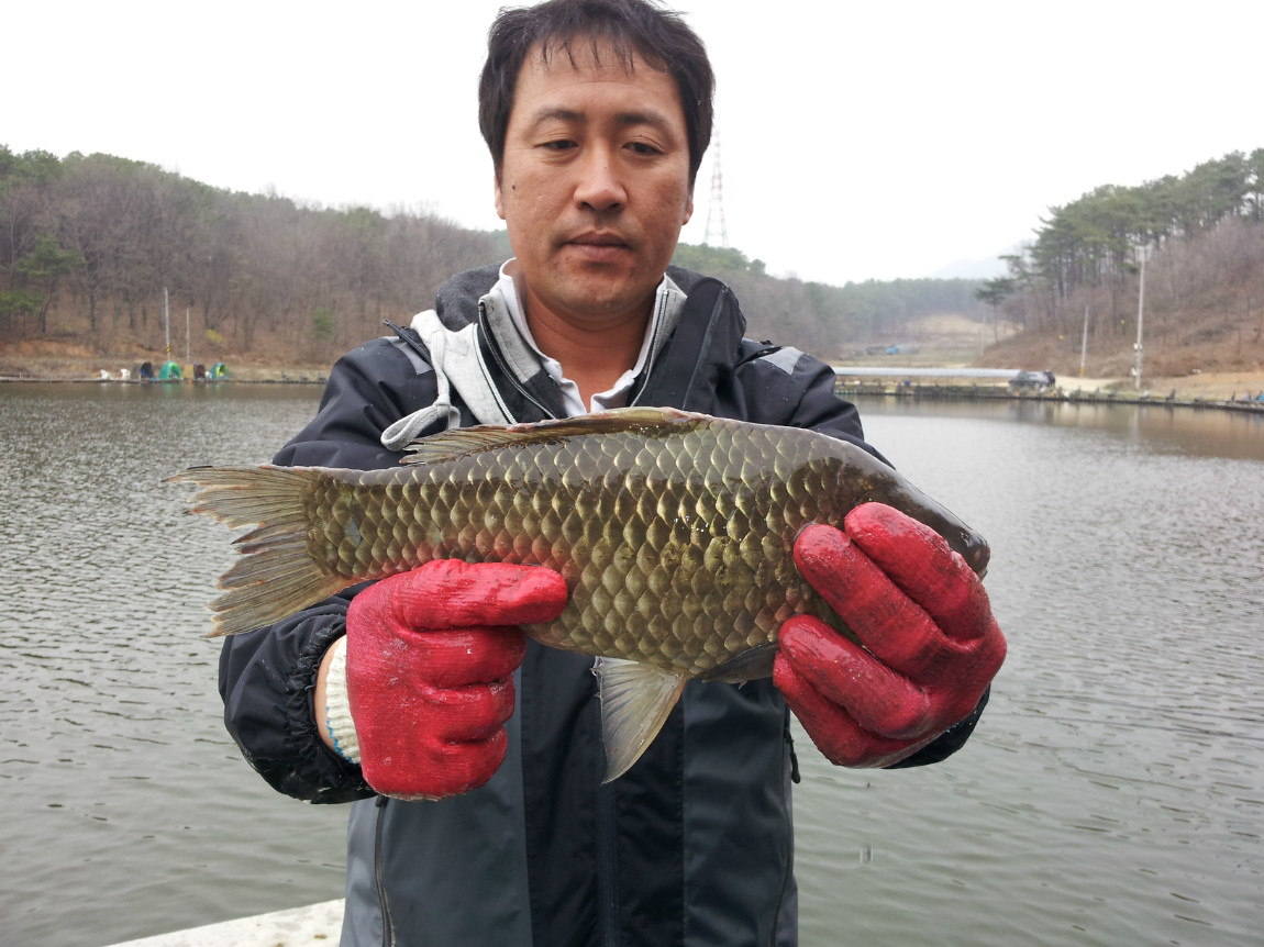 20140329_121604.jpg