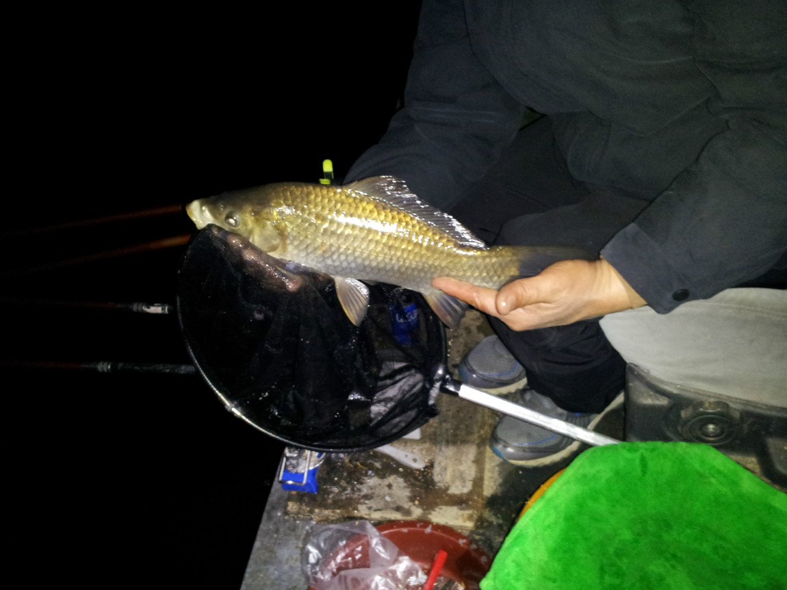 20140329_212943.jpg