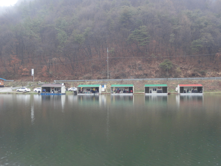 DSC01154.jpg
