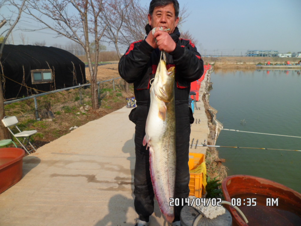 SAM_0222.JPG