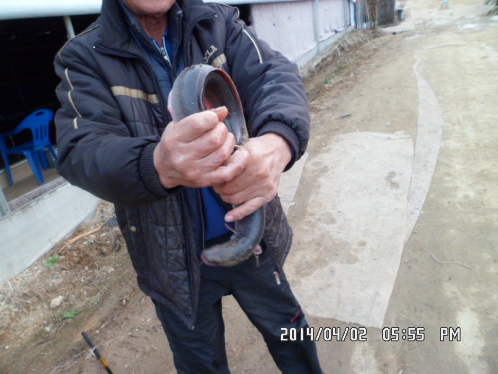 SAM_0240.JPG