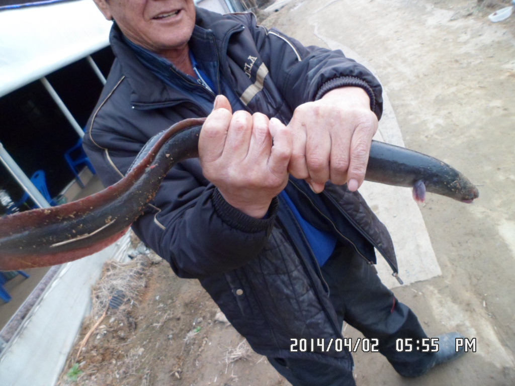 SAM_0241.JPG