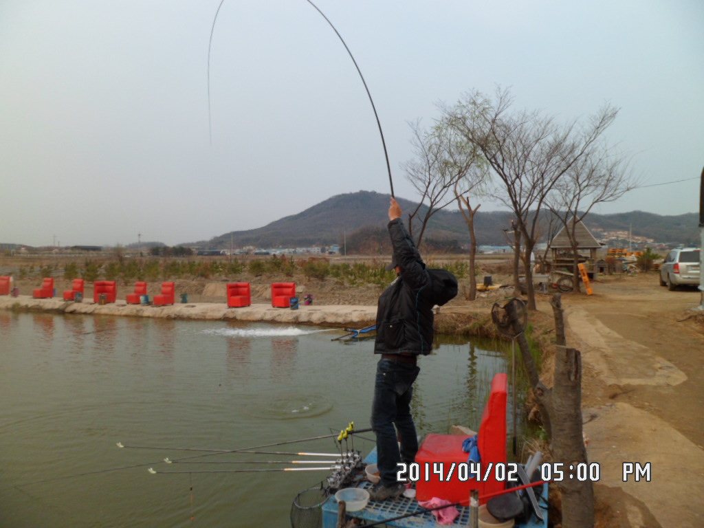 SAM_0234.JPG