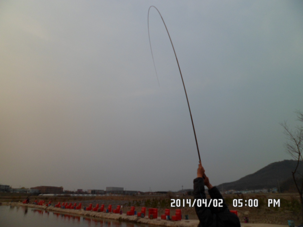 SAM_0235.JPG