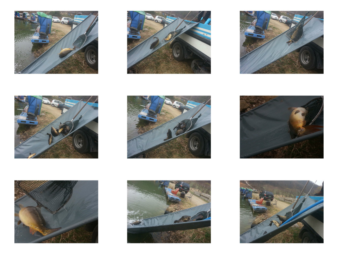 ContactSheet-1 copy.jpg