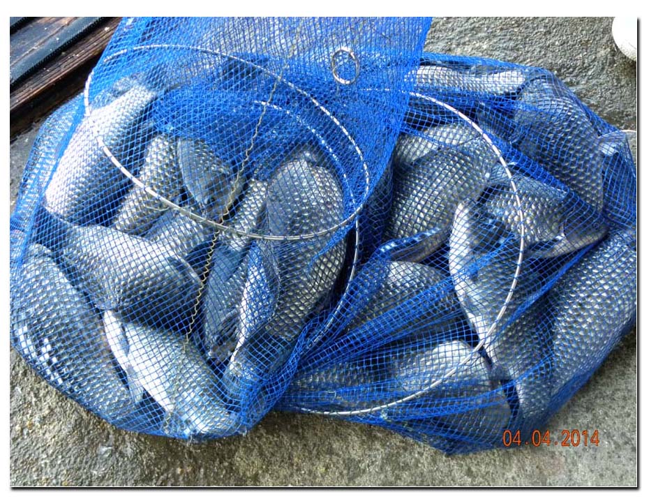 Untitled-2 copy 2.jpg