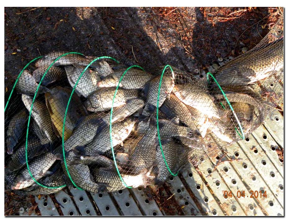 Untitled-2 copy 3.jpg