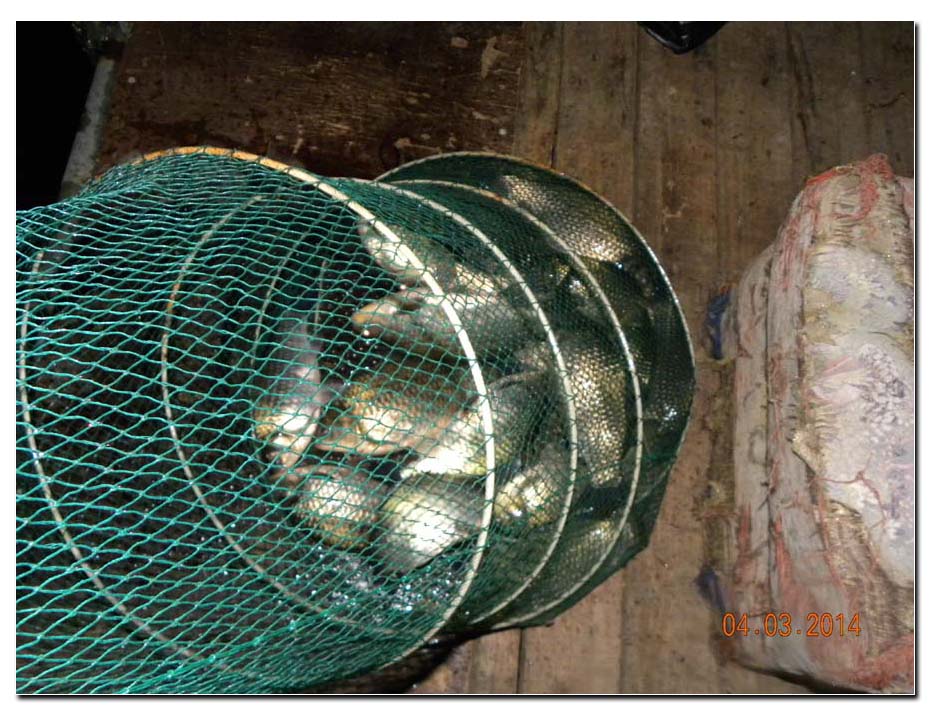 Untitled-2 copy 7.jpg