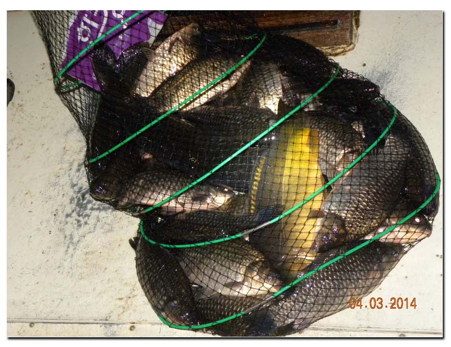 Untitled-2 copy 8.jpg