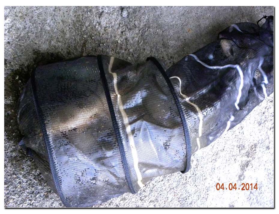 Untitled-2 copy 9.jpg