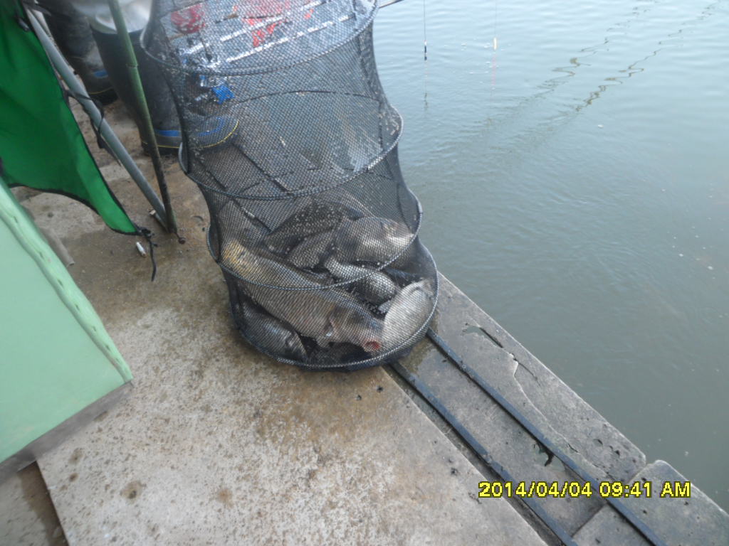 SAM_4409.JPG