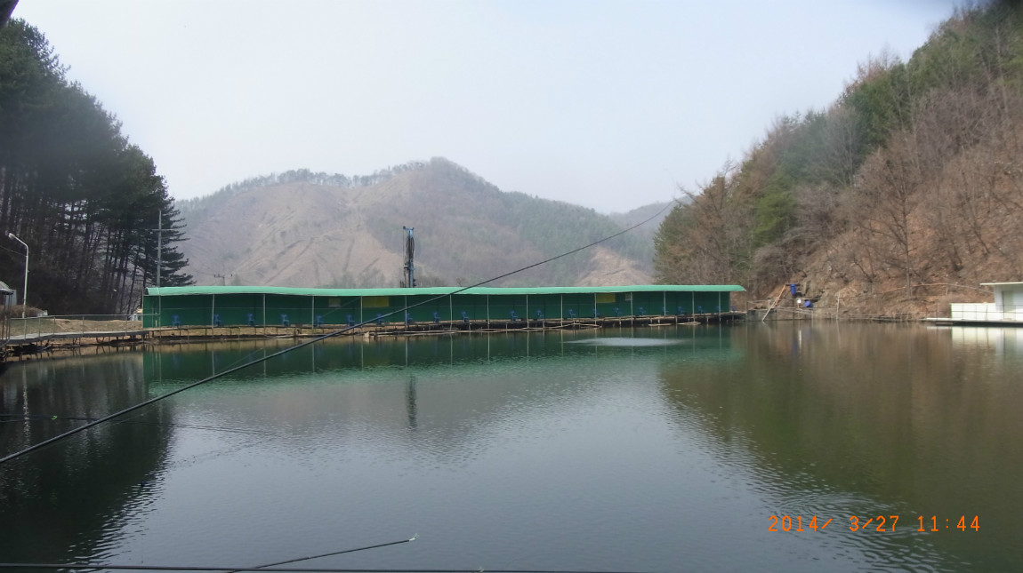 R0017208.JPG