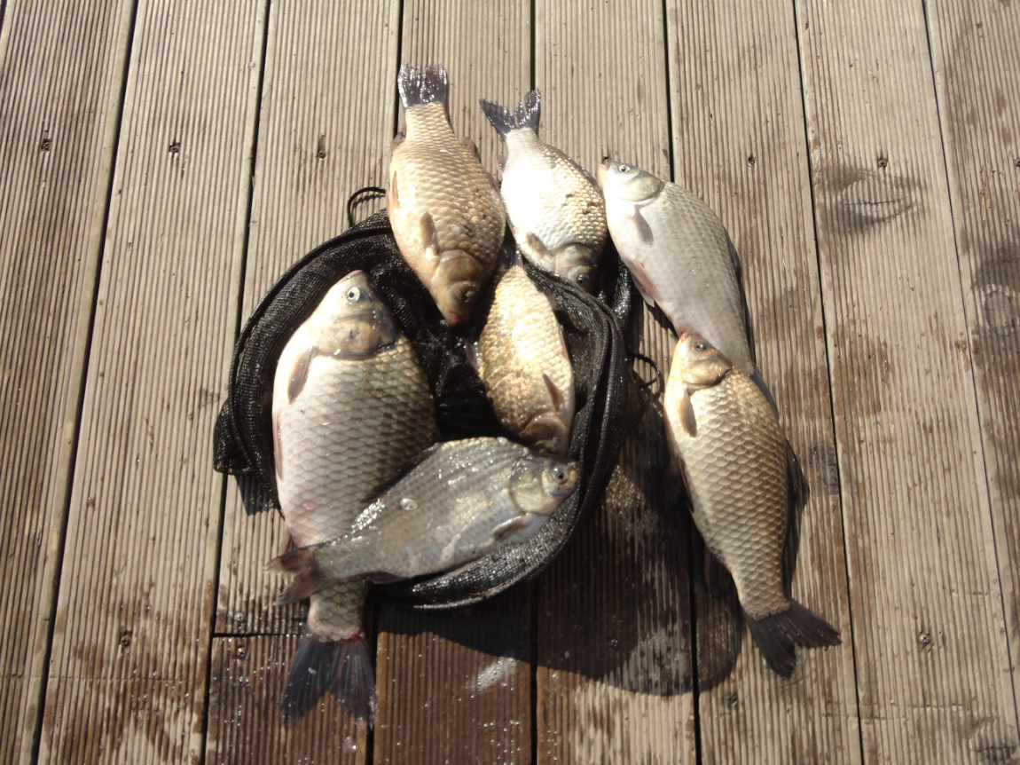 DSC07450.JPG