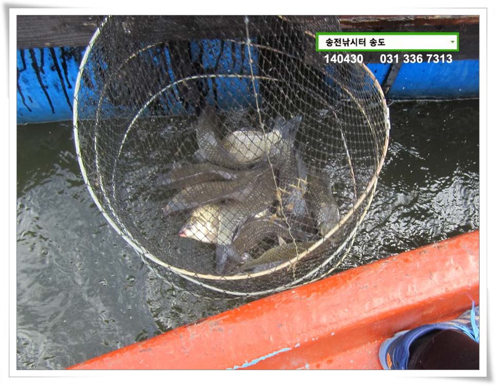 IMG_0001.JPG copy.jpg