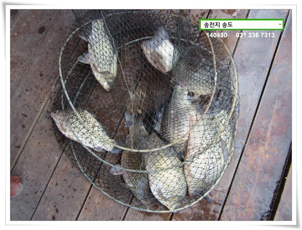 IMG_0002.JPG copy.jpg