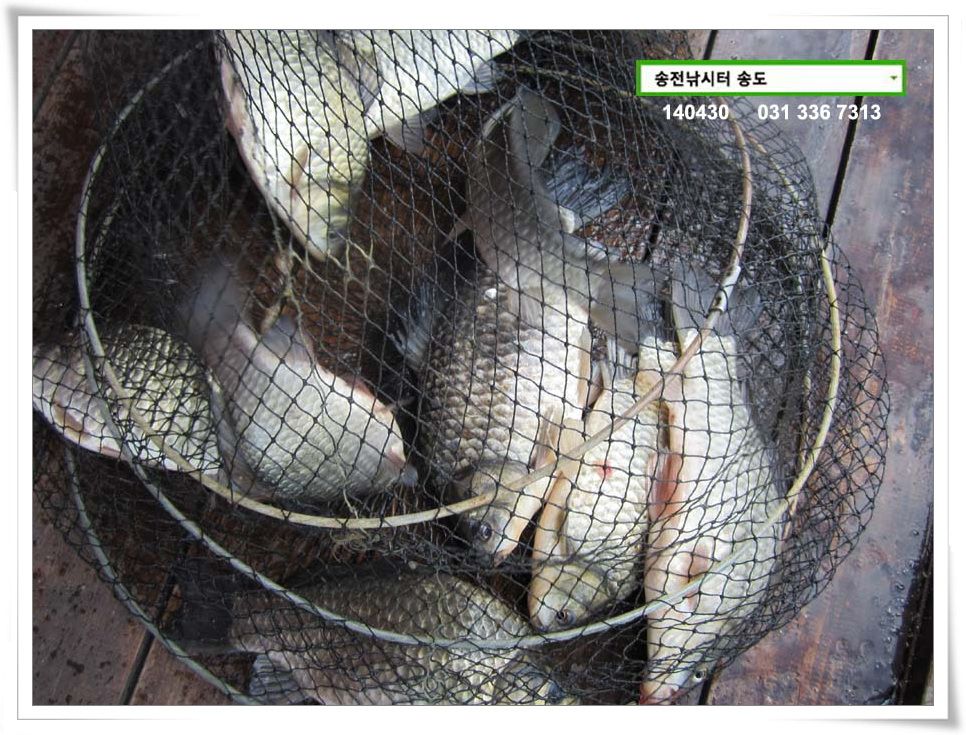 IMG_0003.JPG copy.jpg