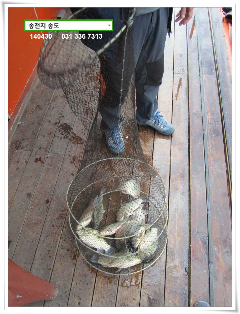 IMG_0004.JPG copy.jpg