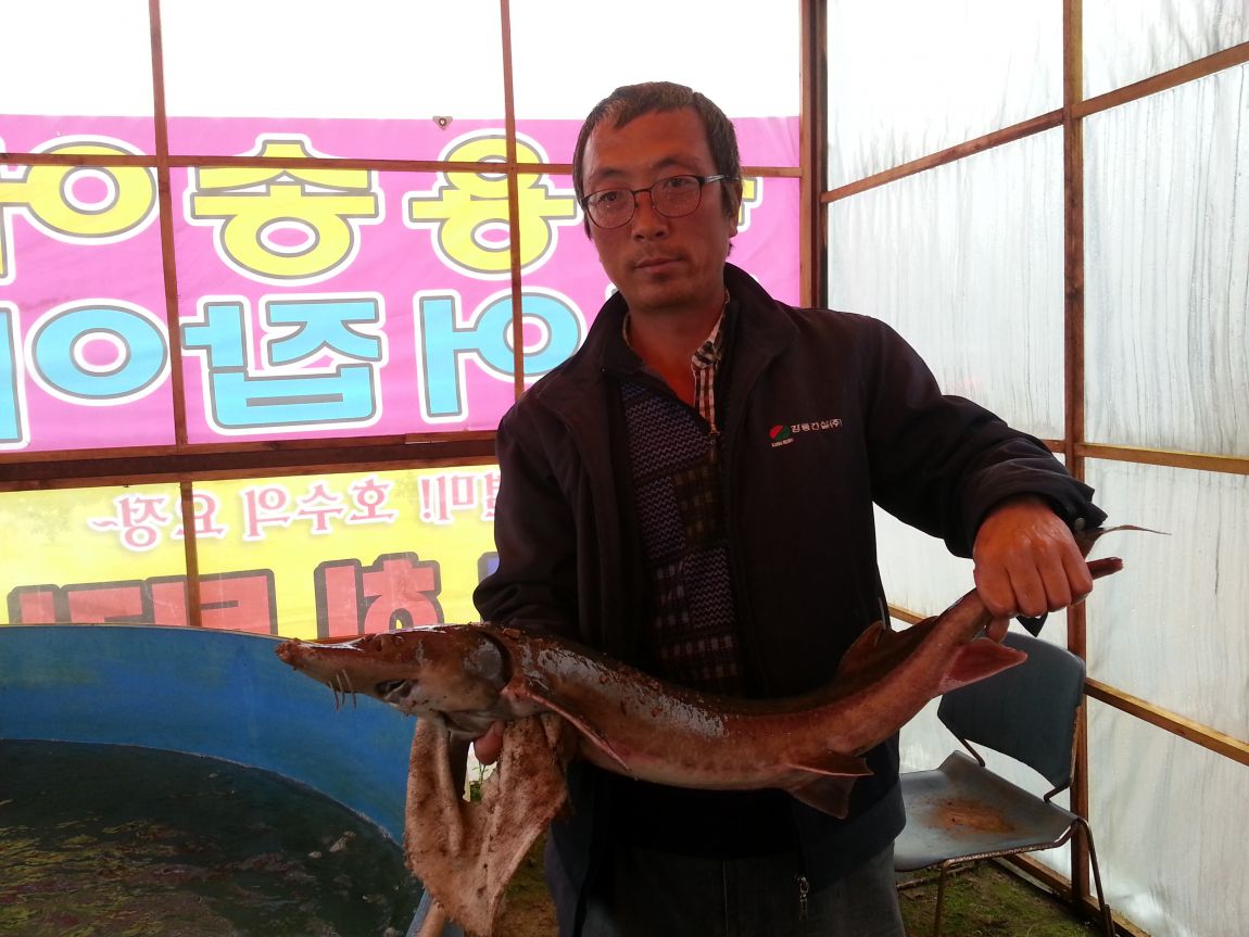 20140428_093618.jpg