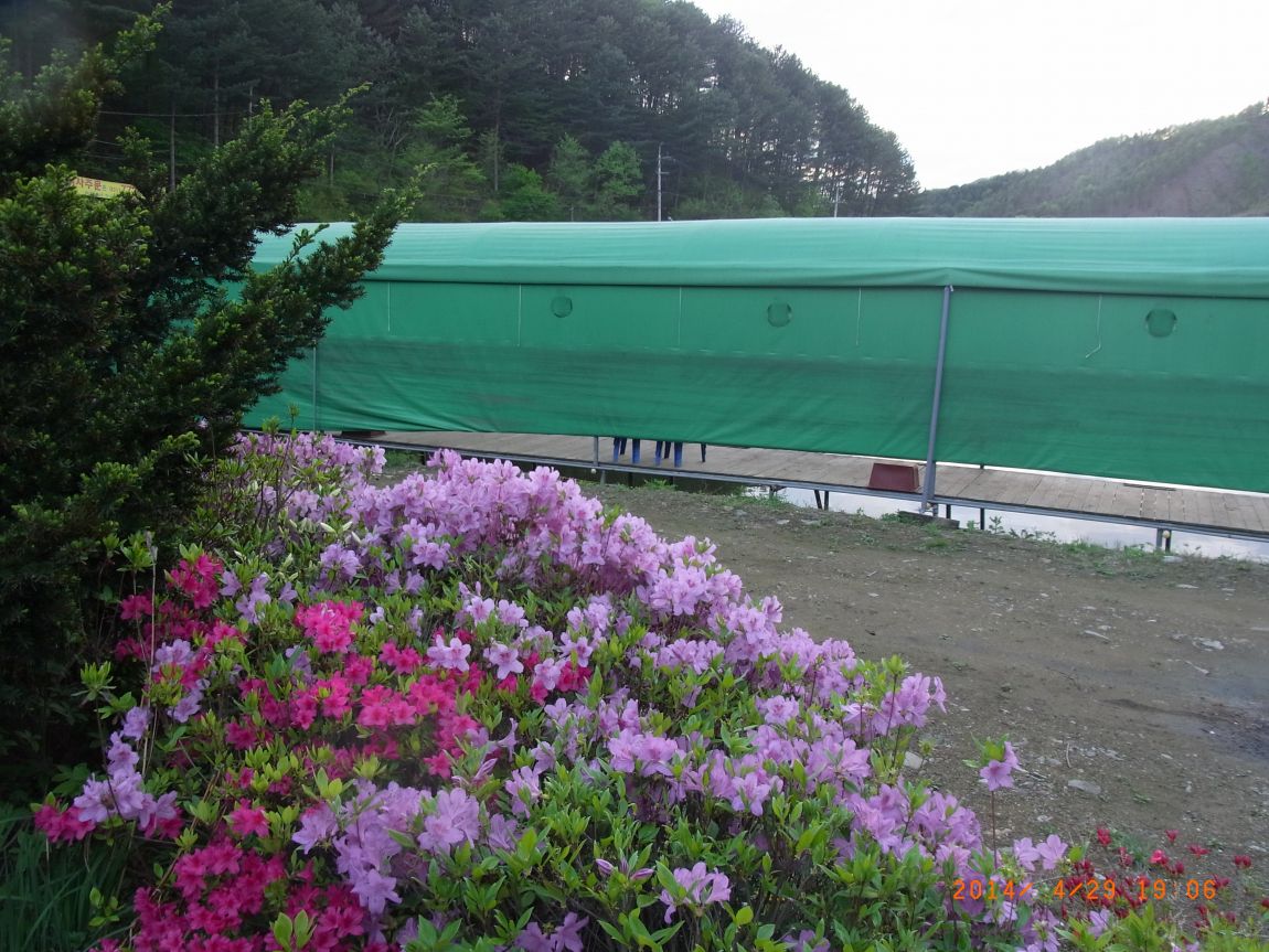 R0018113.JPG