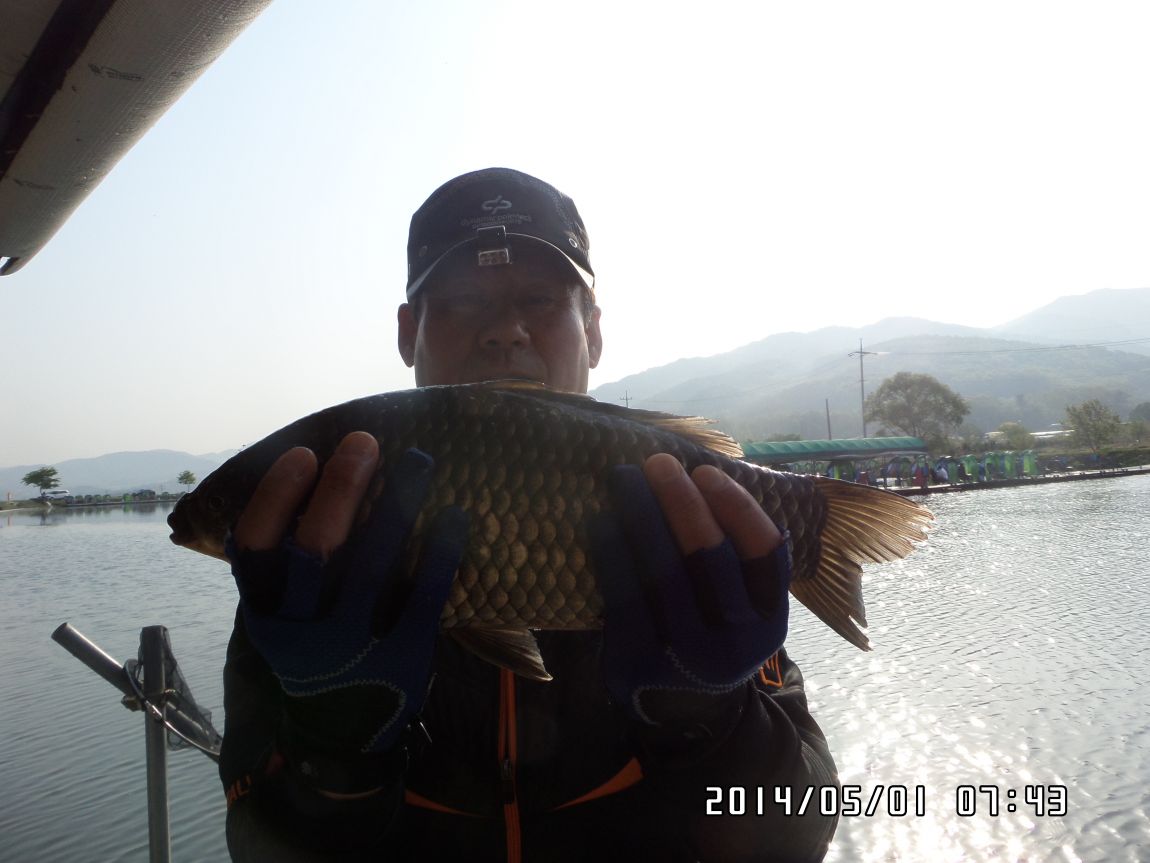 SAM_1803.JPG