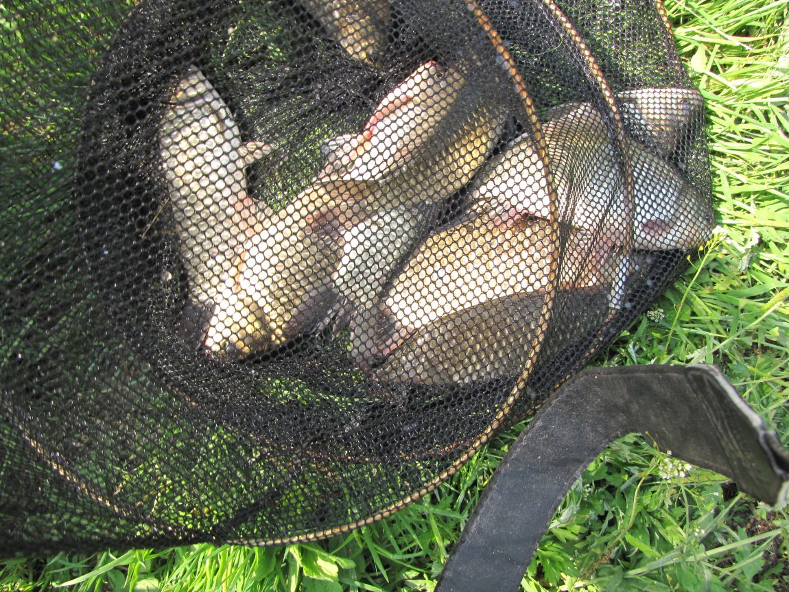 IMG_2350.JPG