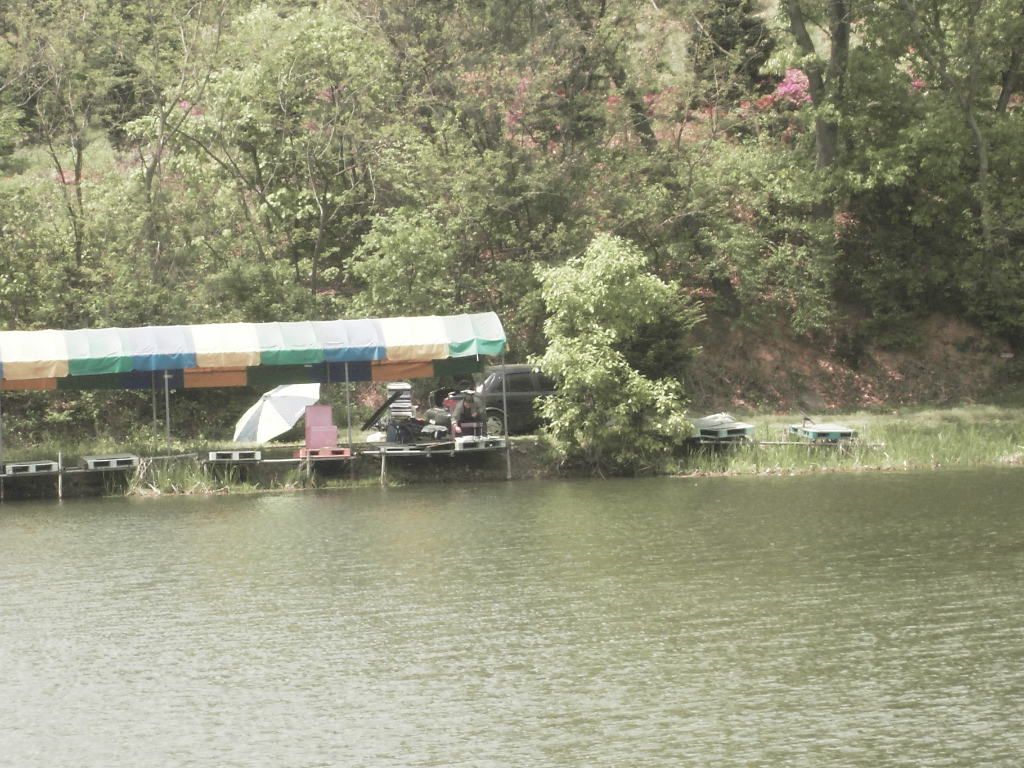 SDC10408.JPG